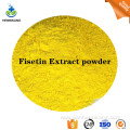 Factory price Fisetin Extract ingredients powder for sale